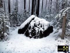 Findling Teufelsstein im Kemmener Forst bei Calau in Brandenburg, (D) (1) 24. Januar 2015.JPG